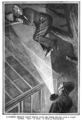 A SUDDEN BRIGHT LIGHT SHONE UPON ME FROM BELOW AND A VOICE SPOKE. "HOI" IT SAID. IT WAS A POLICEMAN