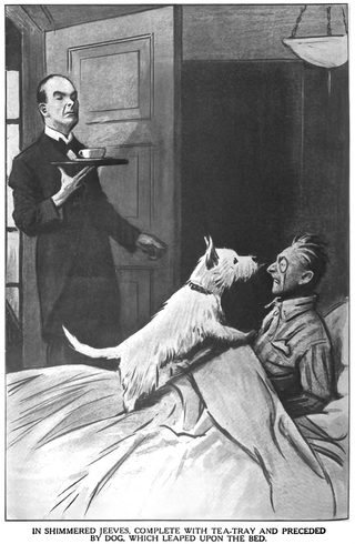 IN SHIMMERED JEEVES, COMPLETE WITH TEA-TRAY AND PRECEDED BY DOG. WHICH LEAPED UPON THE BED