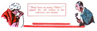 Don't keep on saying ' Hullo?'" yipped the old relative in her customary curt manner.