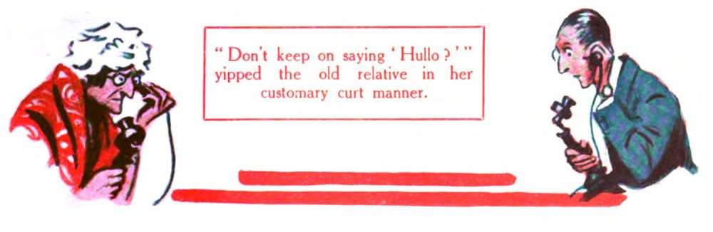 Don't keep on saying ' Hullo?'" yipped the old relative in her customary curt manner.