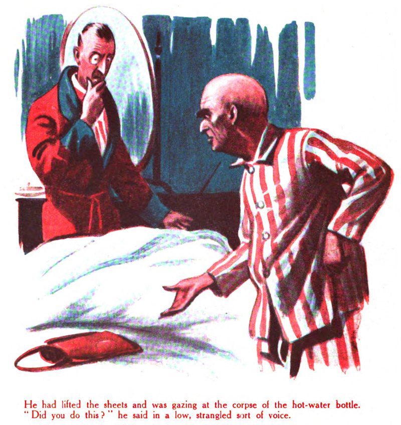 He had lifted the sheets and was gazing at the corpse of the hot-water bottle. "Did you do this?" he said in a low, strangled sort of voice.